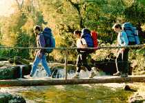Buzios, Servicios Turisticos: Tour a Sana